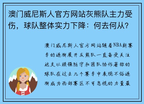 澳门威尼斯人官方网站灰熊队主力受伤，球队整体实力下降：何去何从？